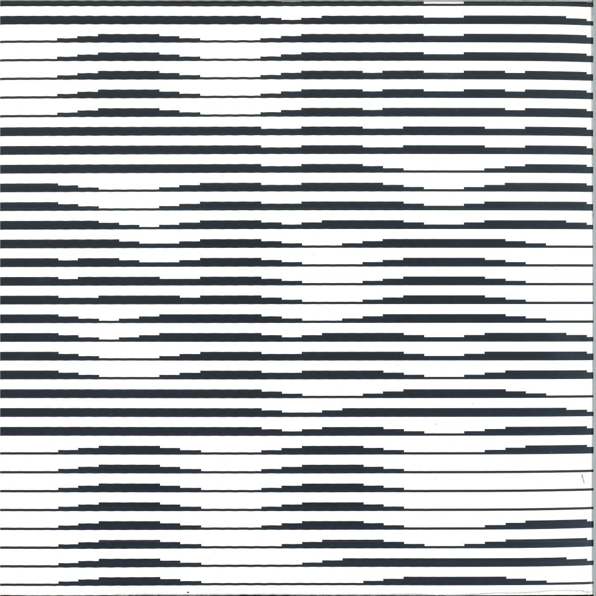 Denise Motto - I M N X T C (Jack Your Body To The Beat) [JD Twitch Remixes] (VINYL 12" Skylax) | NEW - HOUSE/ACID *NEW*