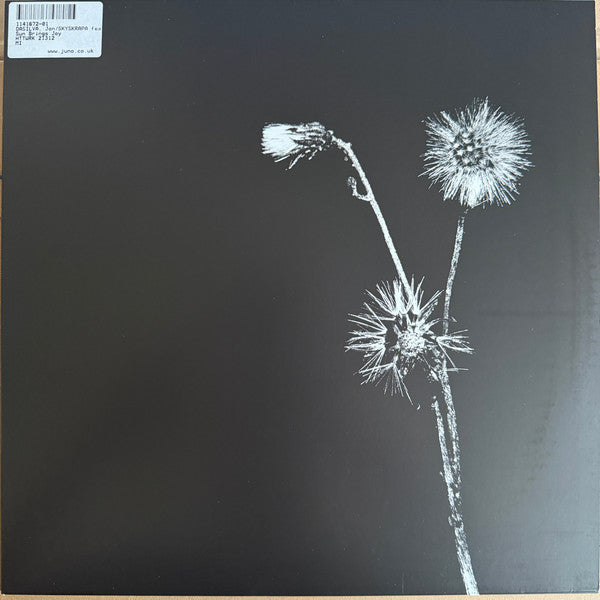 Sun Brings Joy (VINYL) | Mint (M) Mint (M) - HOUSE/ACID *NEW*