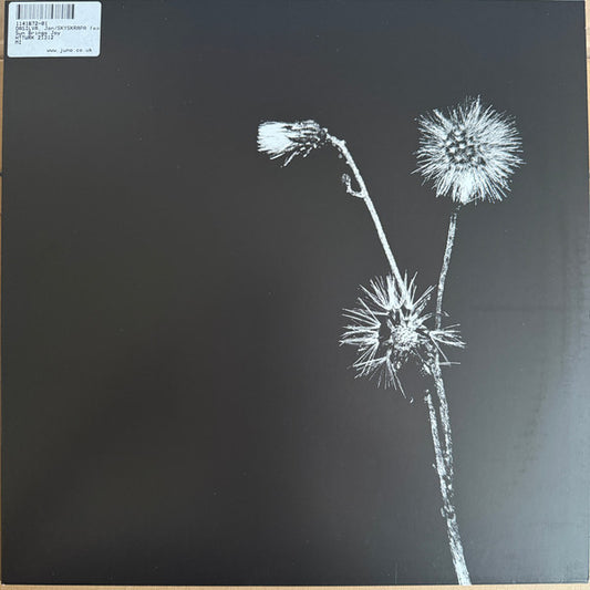 Sun Brings Joy (VINYL) | Mint (M) Mint (M) - HOUSE/ACID *NEW*