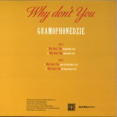 Why Don't You (ORANGE VINYL) | - HOUSE *NEW/COLOR*