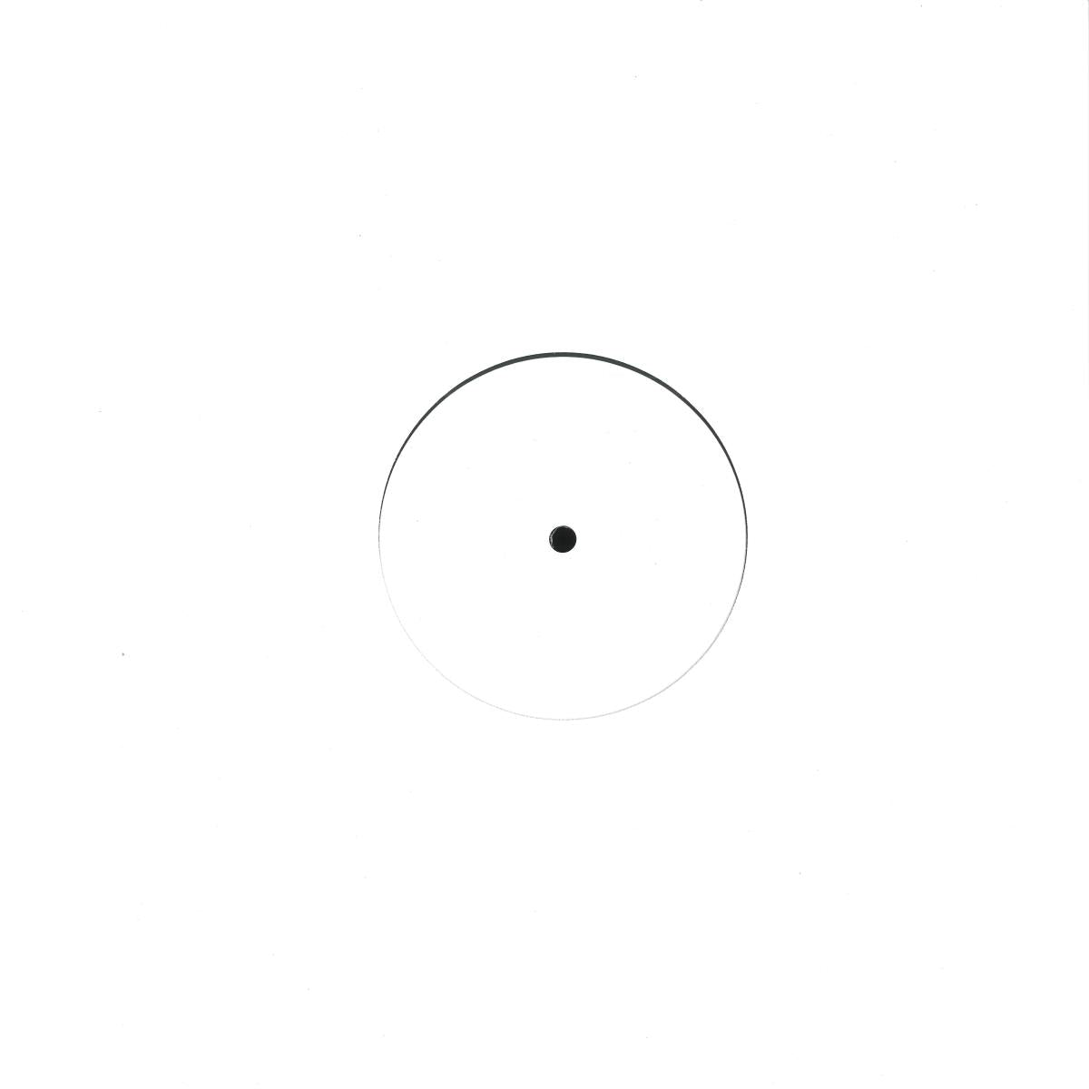 Fil Palmer - FILPALMER002 (MARBLED VINYL 12" filpalmer FILPALMER002 2026) | NEW - HOUSE *NEW/COLOR*