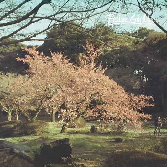 (PRESALE 5/29/26) Tezeta (2xMARBLED VINYL) | Mint (M) Mint (M) - HOUSE *NEW/COLOR*