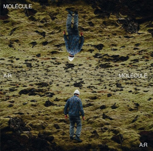 (PRE ORDER 4/24/26) A:R - White (WHITE VINYL) | - HOUSE *NEW/COLOR*