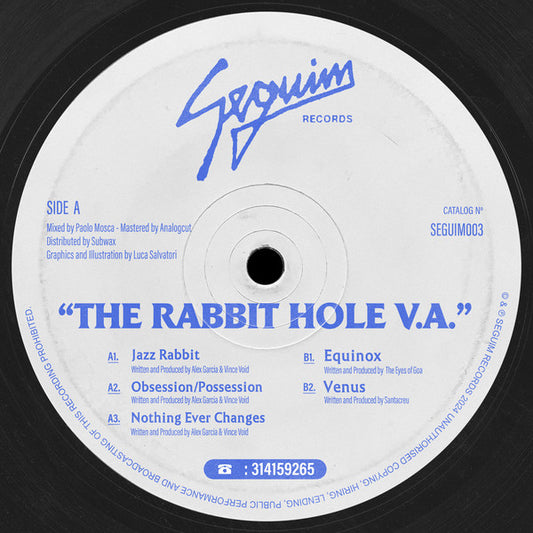 The Rabbit Hole V.A. (VINYL) | Mint (M) Generic - HOUSE *NEW*