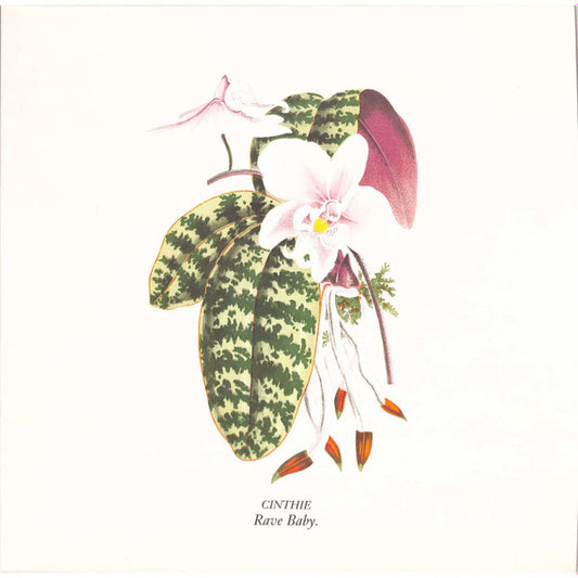 Rave Baby (VINYL) | Mint (M) Mint (M) - HOUSE *NEW*
