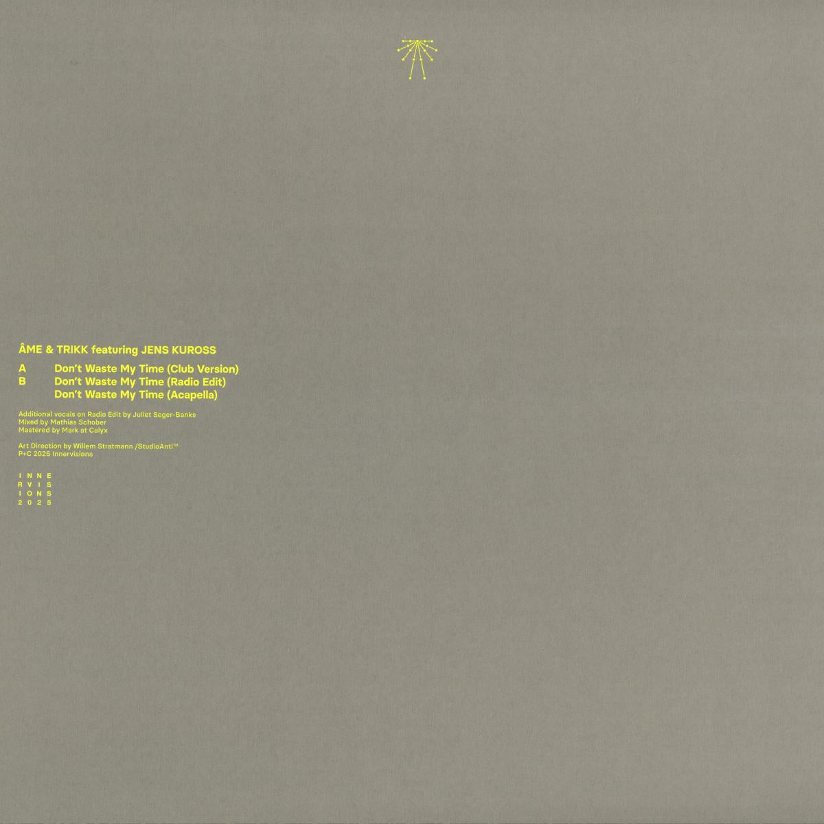 Don't Waste My Time (VINYL 12") | Mint (M) Mint (M) - HOUSE *NEW*