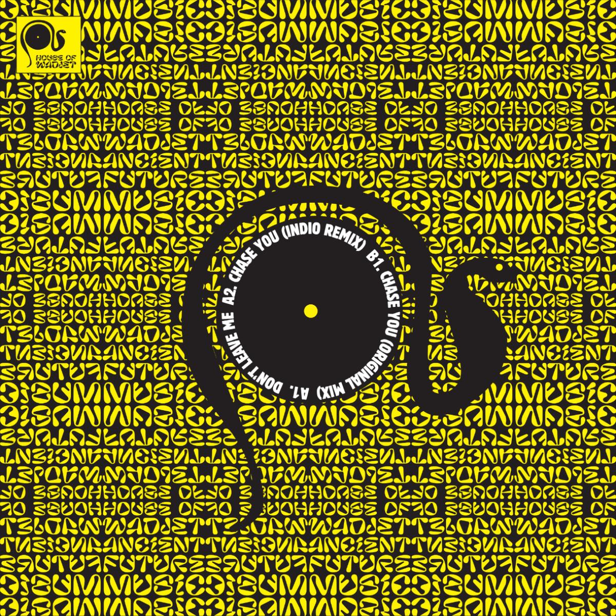 Insane Who Sane - Don't Leave Me (VINYL 12" House Of Wadjet WDJT003 2026) | NEW - HOUSE *NEW*
