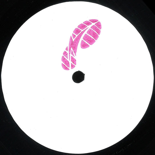 Andy Kas - Not So Disco (VINYL 12" Sex Tapes From Mars) | NEW - HOUSE *NEW*