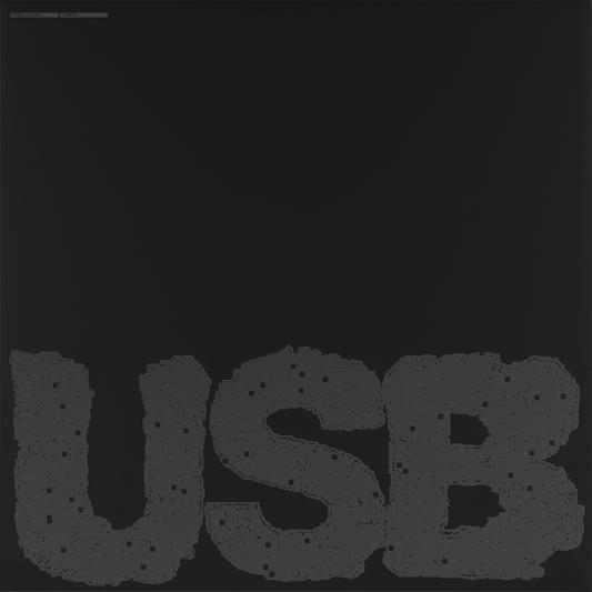 (PRE-ORDER 12/12/25) USB002 (2x VINYL) | Mint (M) Mint (M) - HOUSE *NEW*