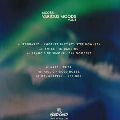 Various - Various Moods Vol. 5 (VINYL) | Mint (M) Mint (M) - HOUSE *NEW*
