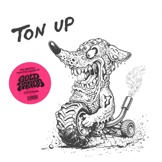 Gold Panda - Ton Up (VINYL 2xLP Studio Barnhus) | NEW - HOUSE *NEW*