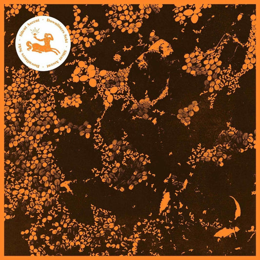 Downliners Sekt - Silent Ascent (CD) | Mint (M) Mint (M) - HOUSE *NEW*