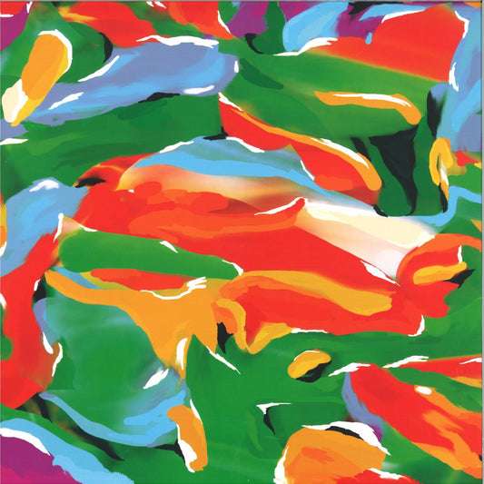 Auntie Flo - (PRESALE 10/1/26) Birds of Paradise (VINYL LP A State of Flo) | NEW Mint (M) Mint (M) - HOUSE *NEW*