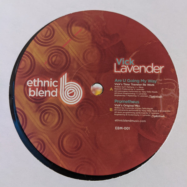 Vick Lavender - Vick Lavender Project (VINYL) | Mint (M) Mint (M) - HOUSE *NEW*