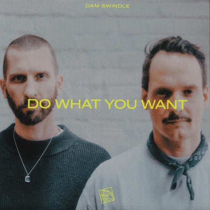 Dam Swindle - Do What You Want (VINYL 12" PIV PIV081 2026) | NEW - HOUSE *NEW*