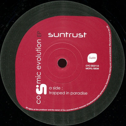 Cosmic Evolution EP *NEW* (VINYL) | Mint (M) Near Mint (NM) - HOUSE *NEW*