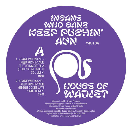 Insane Who Sane - Keep Pushin’ Aun (VINYL 12" House Of Wadjet WDJT002 2026) | NEW - HOUSE *NEW*