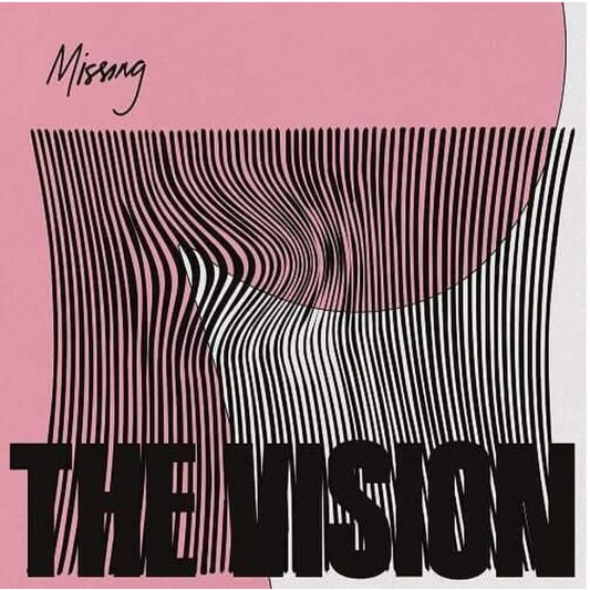 Vision, The - Missing (12" VINYL) | NEW - HOUSE *NEW*