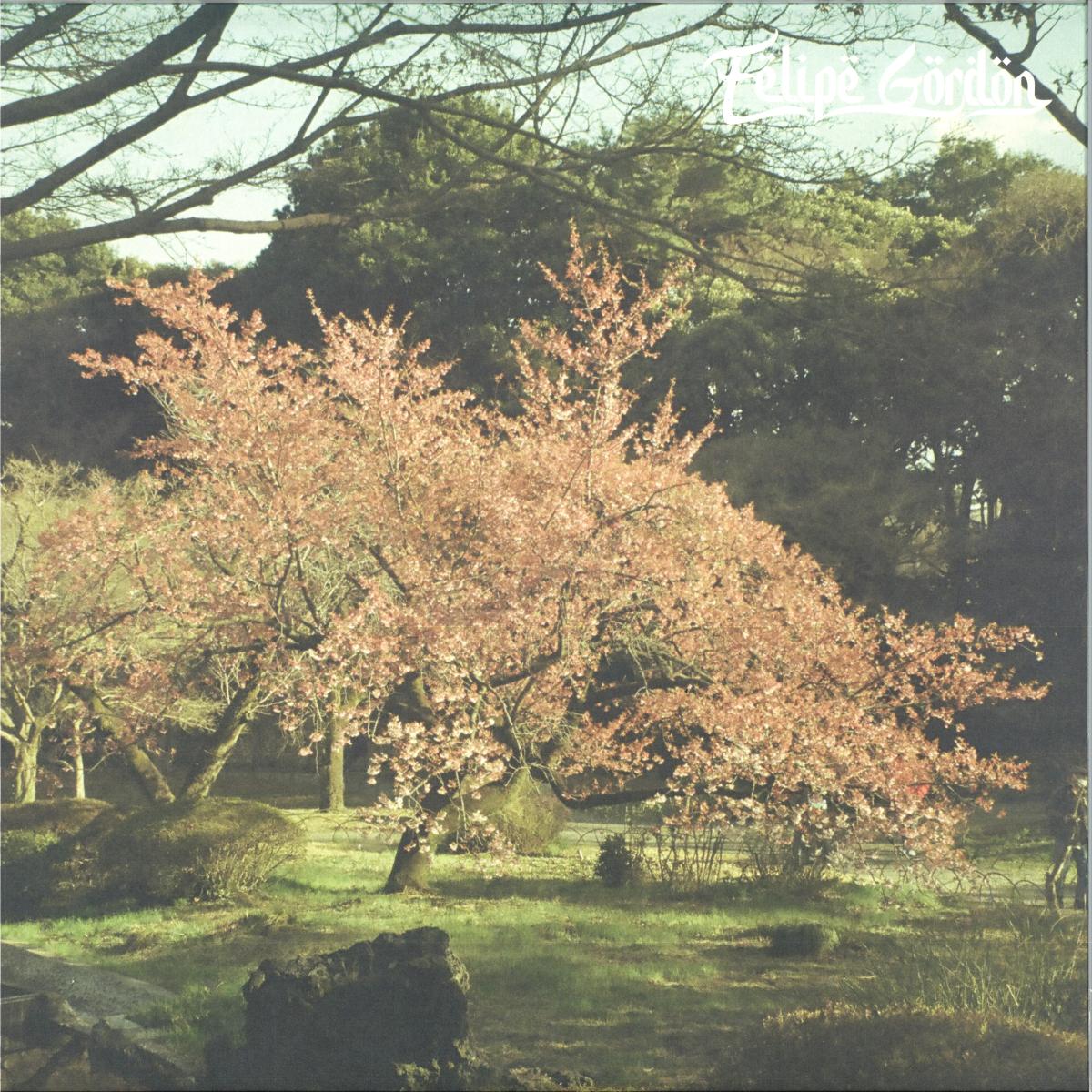 Felipe Gordon - Tezeta (VINYL 2xLP Shall Not Fade SNFLP020V 2026) | Mint (M) Mint (M) - HOUSE *NEW*