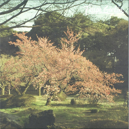Felipe Gordon - Tezeta (VINYL 2xLP Shall Not Fade SNFLP020V 2026) | Mint (M) Mint (M) - HOUSE *NEW*