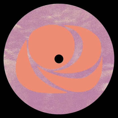 DC Salas - (PRESALE 6/11/26) Create or Combust (VINYL) | Mint (M) Mint (M) - HOUSE *NEW*