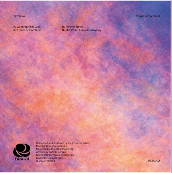 DC Salas - (PRESALE 6/11/26) Create or Combust (VINYL) | Mint (M) Mint (M) - HOUSE *NEW*
