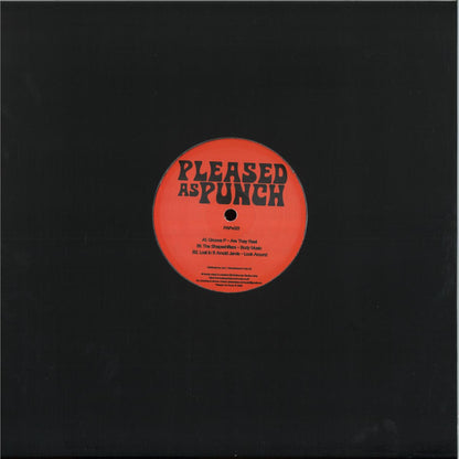 Various - PAPv001 (VINYL 12" Pleased As Punch PAPv001 2026) | NEW - HOUSE *NEW*