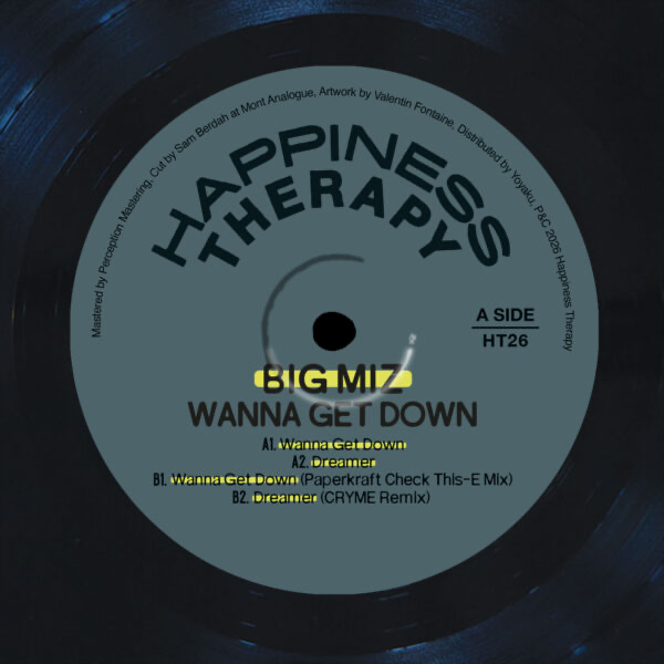 Big Miz - (PRESALE) Wanna Get Down (VINYL) | Mint (M) Mint (M) - HOUSE *NEW*