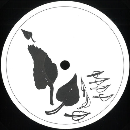 Stefan Vincent - Phyllotaxis (VINYL 12" Artisjok Records AR007) | NEW Mint (M) Mint (M) - HOUSE *NEW*