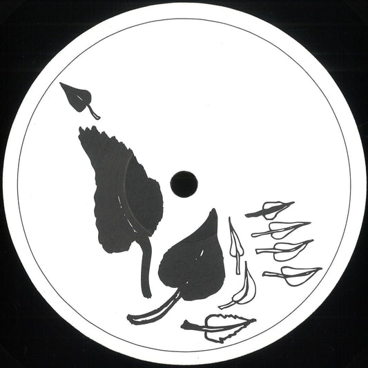 Stefan Vincent - Phyllotaxis (VINYL 12" Artisjok Records AR007) | NEW Mint (M) Mint (M) - HOUSE *NEW*