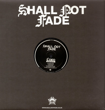 Planet Earth EP (VINYL) | Mint (M) Mint (M) - HOUSE *NEW*