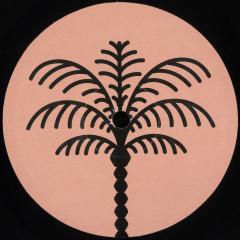 Unreleased Data EP (VINYL) | Mint (M) Mint (M) - HOUSE *NEW*