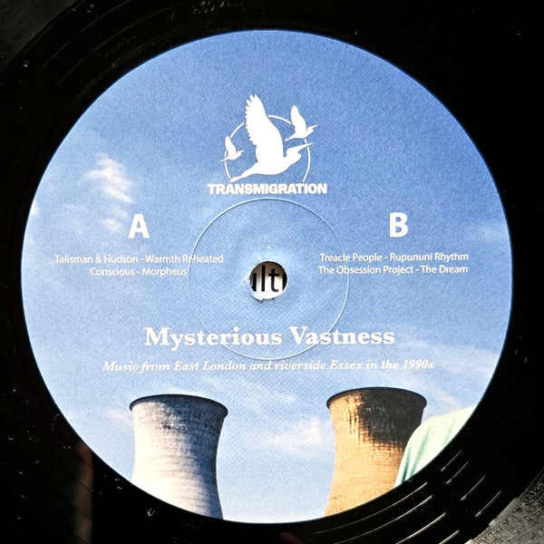 Mysterious Vastness (2xVINYL) | - HOUSE *SEALED*