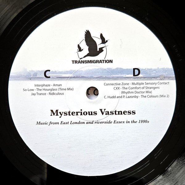 Mysterious Vastness (2xVINYL) | - HOUSE *SEALED*