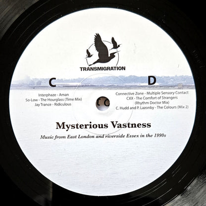 Mysterious Vastness (2xVINYL) | - HOUSE *SEALED*