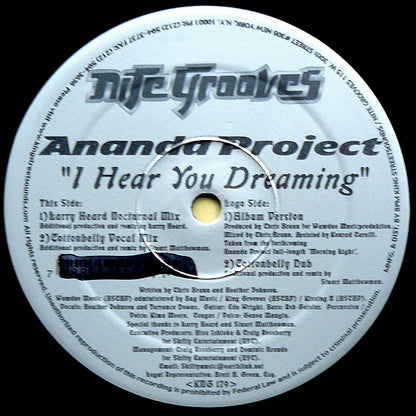 The Ananda Project - I Hear You Dreaming | Excellent (EX) Excellent (EX) - HOUSE / USED *EXCELLENT+*