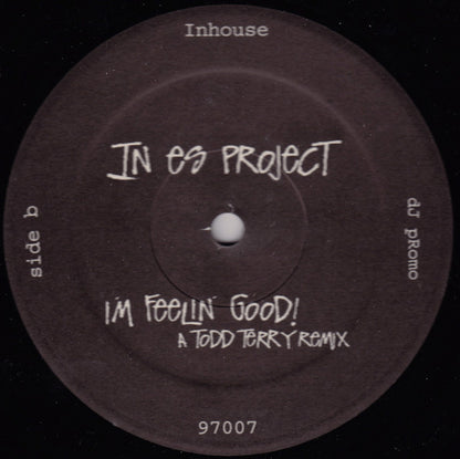 In Es Project - I'm Feelin' Good! | Excellent (EX) Generic - HOUSE / USED *EXCELLENT+*