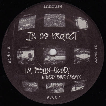 In Es Project - I'm Feelin' Good! | Excellent (EX) Generic - HOUSE / USED *EXCELLENT+*
