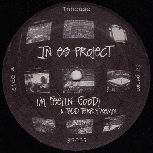 In Es Project - I'm Feelin' Good! | Excellent (EX) Generic - HOUSE / USED *EXCELLENT+*