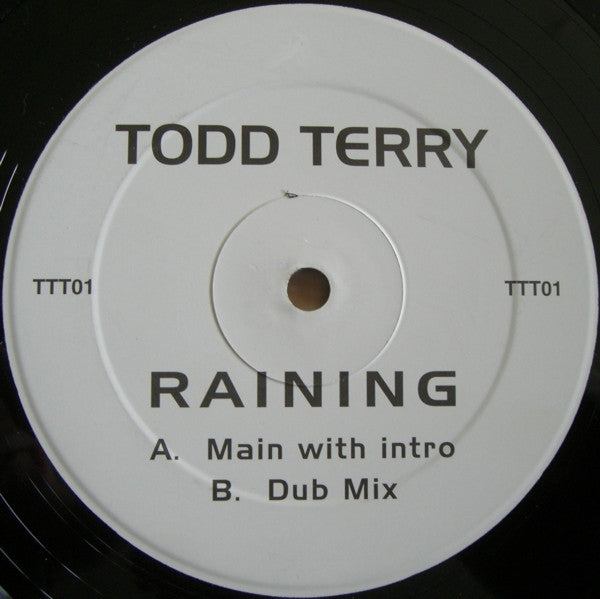 Todd Terry - Raining | Excellent (EX) Generic - HOUSE / USED *EXCELLENT+*