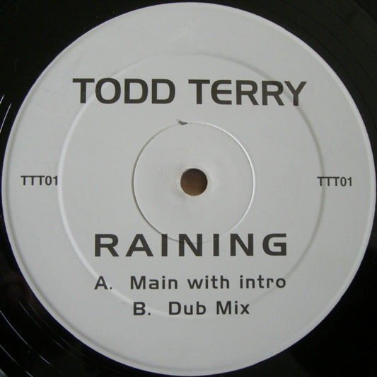 Todd Terry - Raining | Excellent (EX) Generic - HOUSE / USED *EXCELLENT+*
