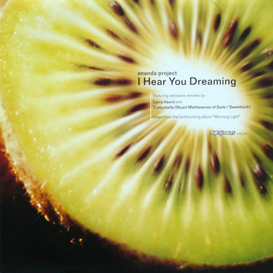 The Ananda Project - I Hear You Dreaming | Excellent (EX) Excellent (EX) - HOUSE / USED *EXCELLENT+*
