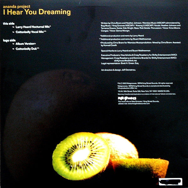 The Ananda Project - I Hear You Dreaming | Excellent (EX) Excellent (EX) - HOUSE / USED *EXCELLENT+*