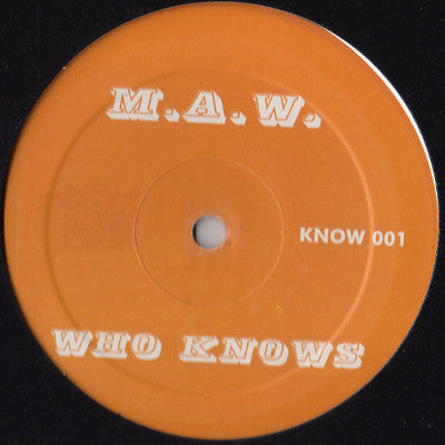 Who Knows (12" VINYL) | Excellent+ (EX+) Generic - HOUSE / USED *EXCELLENT+*