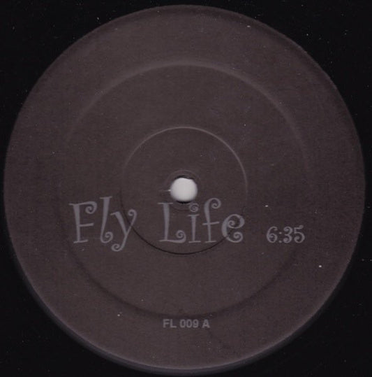 Fly Life / Outside | Excellent (EX) Generic