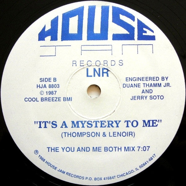 LNR - Work It To The Bone (VINYL 12" HOUSE JAM HJA 8803 1988) | USED Excellent (EX) Generic - HOUSE / USED *EXCELLENT*