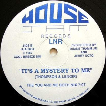 LNR - Work It To The Bone (VINYL 12" HOUSE JAM HJA 8803 1988) | USED Excellent (EX) Generic - HOUSE / USED *EXCELLENT*