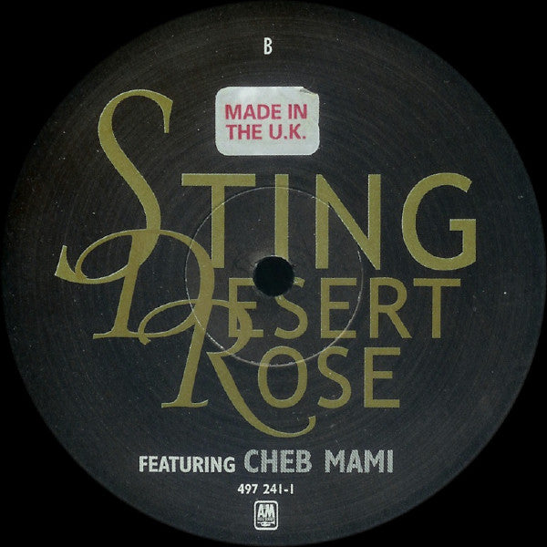 Sting - Desert Rose (Victor Calderone Mixes) | Excellent (EX) Very Good (VG) - HOUSE / USED *EXCELLENT*