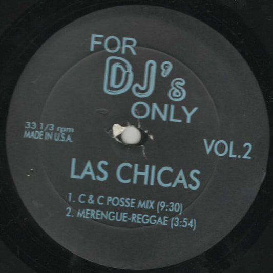 For DJ's Only (Vol. 2) (VINYL) | Excellent (EX) Generic - HOUSE / USED *EXCELLENT*