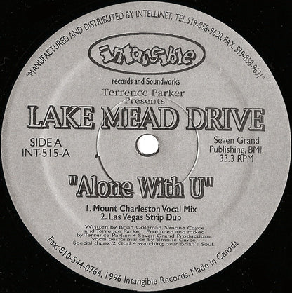 Alone With U (VINYL) | Near Mint (NM) Generic - HOUSE / USED *NEAR MINT*